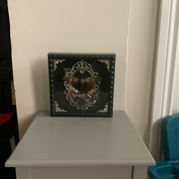 Custom handmade double framed cicada - Picture 4 of 4